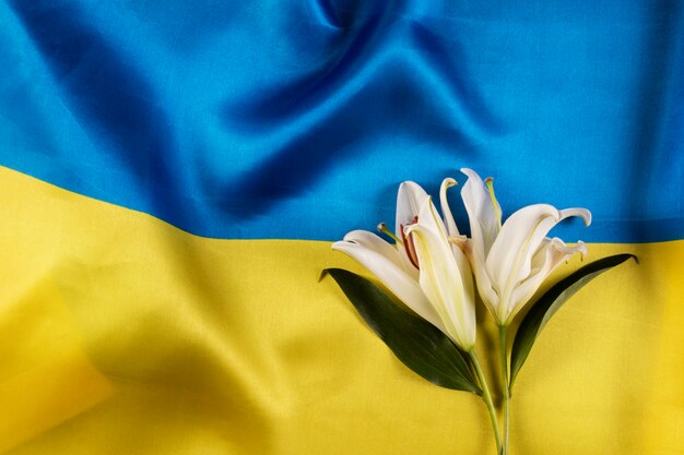 Draufsicht ukrainische Flagge und schöne Lilie