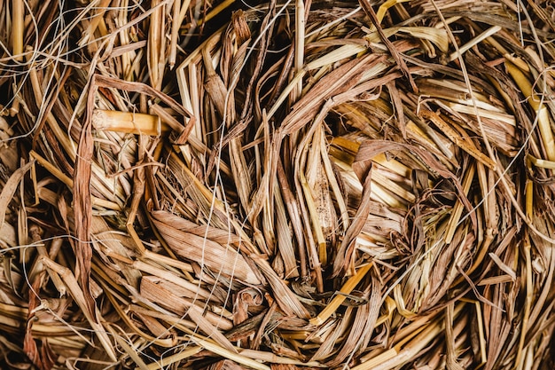 Draufsicht Vogelnest Tapete