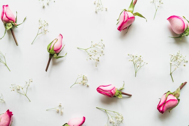 Draufsicht von Blumen und von Blättern