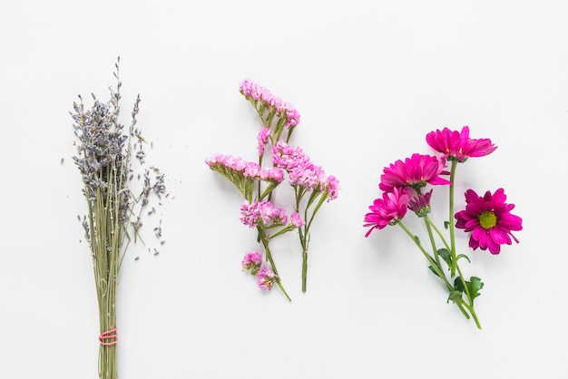 Draufsicht von Blumen und von Blättern