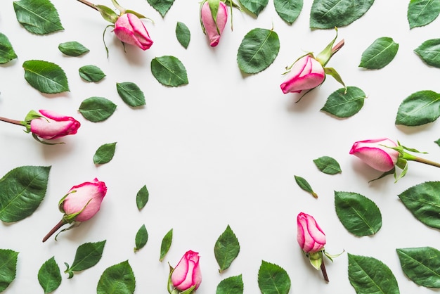 Kostenloses Foto draufsicht von blumen und von blättern