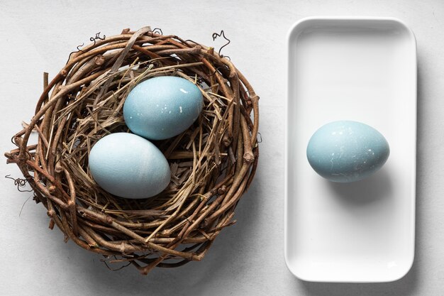 Draufsicht von Eiern für Ostern mit Nest aus Zweigen und Teller
