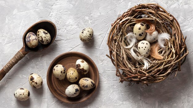 Draufsicht von Eiern für Ostern mit Vogelnest