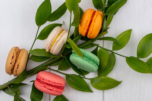 Draufsicht von farbigen Macarons mit einem Zweig von Blättern auf einer weißen Oberfläche