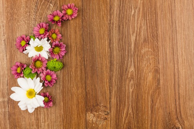 Draufsicht von frischen Blumen