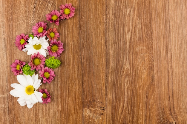 Draufsicht von frischen Blumen