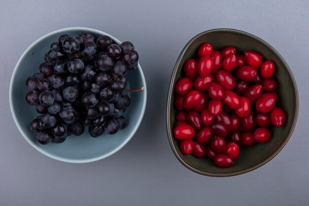 Draufsicht von Früchten als Kornelkirsche und Schlehenbeeren in Schalen auf grauem Hintergrund