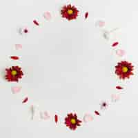 Kostenloses Foto draufsicht von frühlingsgänseblümchen mit zusammenstellung von blumenblättern