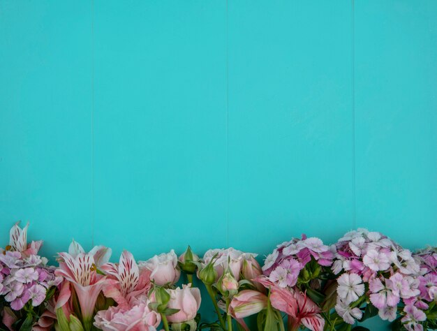 Draufsicht von hellrosa Blumen auf einer hellblauen Oberfläche