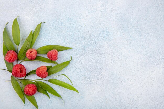 Draufsicht von Himbeeren mit Blättern auf weißer Oberfläche