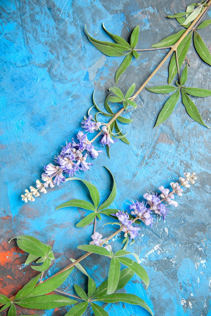 Kostenlose Foto draufsicht von lila blumenzweigen auf blauer oberfläche