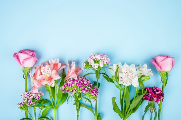 Draufsicht von rosa Farbe Rosen und Alstroemeria Blumen mit türkischer Nelke auf blauem Hintergrund mit Kopienraum
