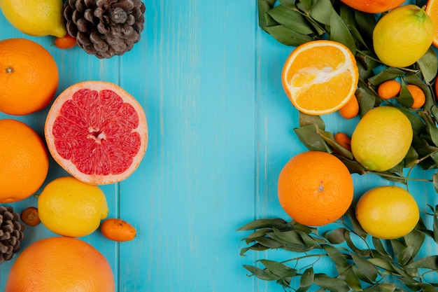 Draufsicht von Zitrusfrüchten als Grapefruit-Zitronenorangen-Mandarine und Kumquat auf blauem Hintergrund, verziert mit Blättern und Tannenzapfen