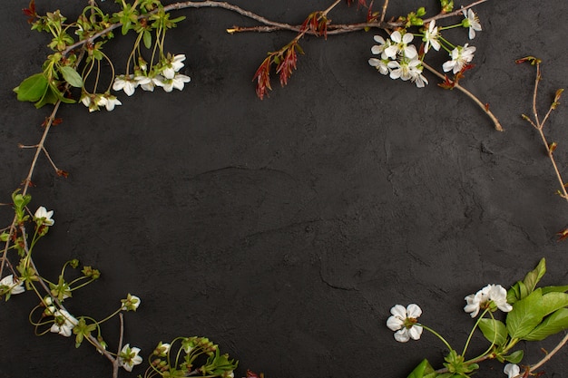 Kostenloses Foto draufsicht weiße blumen auf dem dunklen hintergrund