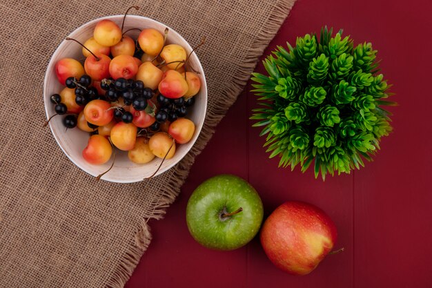 Draufsicht weiße Kirsche mit schwarzen Johannisbeeren in einer Schüssel mit Äpfeln auf einem roten Tisch