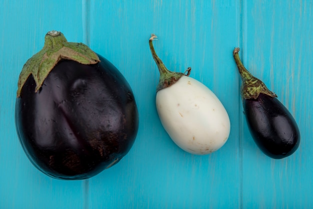 Draufsicht weiße und schwarze Aubergine auf einem türkisfarbenen Hintergrund