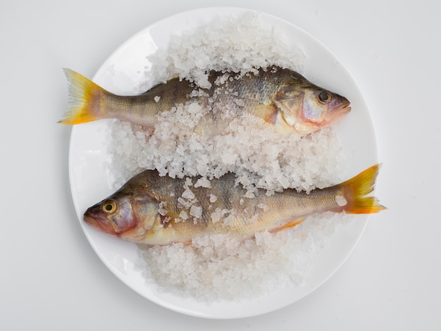 Draufsicht zwei Fische auf Platte mit Mineralsalz