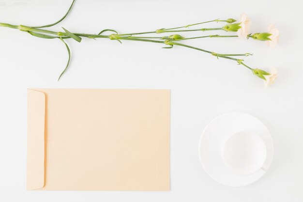 Draufsichtblumen mit Umschlag und Schale