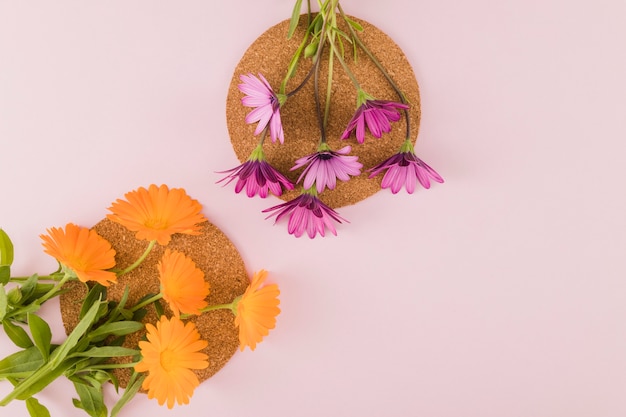 Draufsichtblumen und -blumenblätter