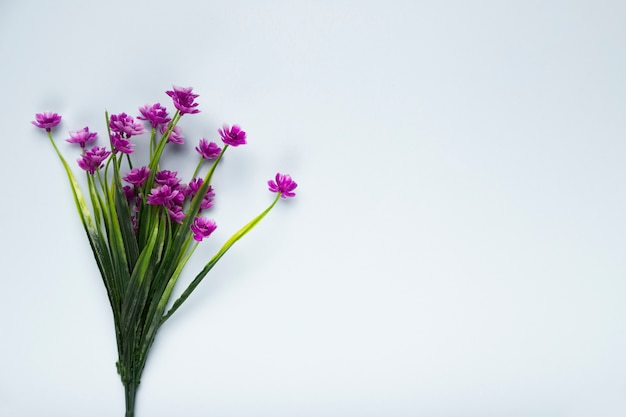 Kostenloses Foto draufsichtblumenstrauß von blütenblumen