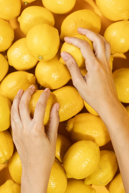 Draufsichthände, die frische Zitronen berühren