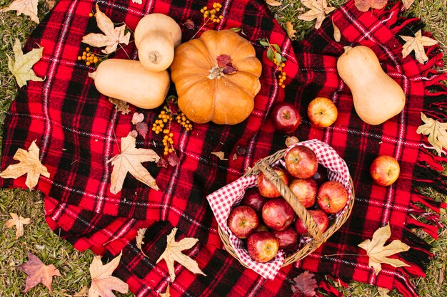 Draufsichtherbstsaisonmahlzeit auf Picknickdecke