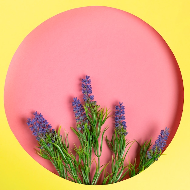 Kostenloses Foto draufsichtpapierkreis mit lavendel