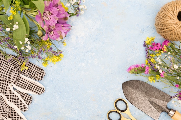 Kostenloses Foto draufsichtsortiment mit werkzeugen und blumen