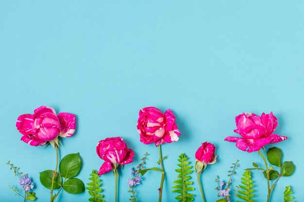Draufsichtstrauß Rosen mit Kopienraum