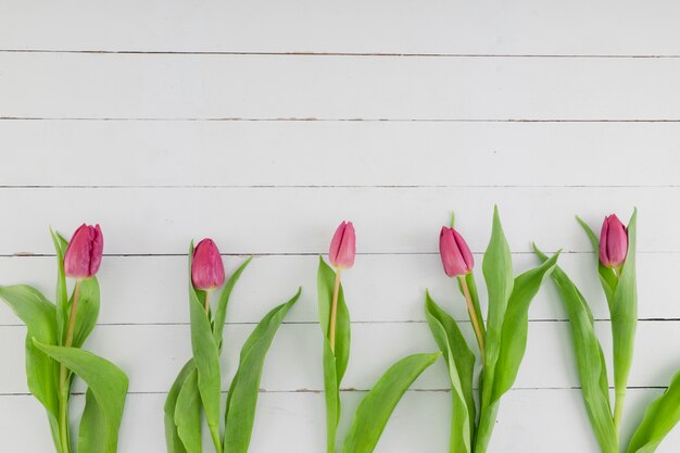 Draufsichttulpenlinie auf hölzernem Hintergrund