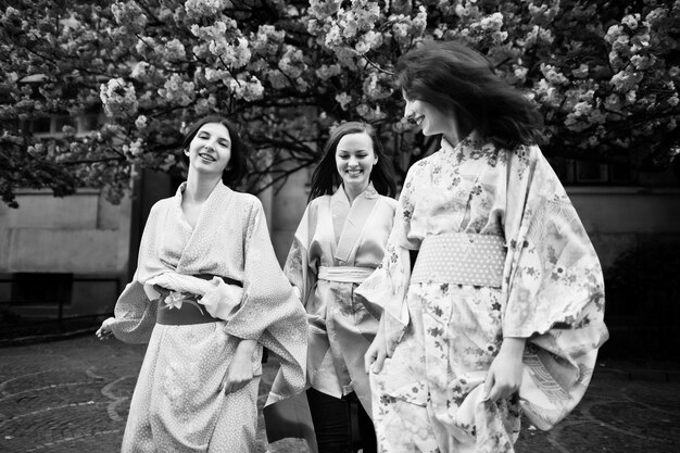 Drei europäische Mädchen, die traditionellen japanischen Kimono-Hintergrund tragen, blühen rosa Sakura-Baum