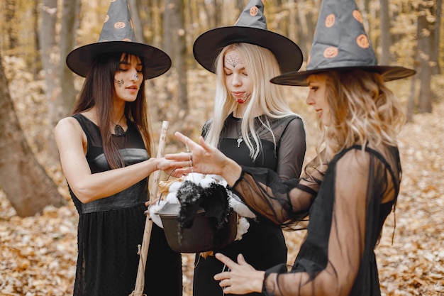 Drei Hexenmädchen im Wald an Halloween. Mädchen, die schwarze Kleider und Kegelhüte tragen. Hexen, die ein Zauberermaterial halten.