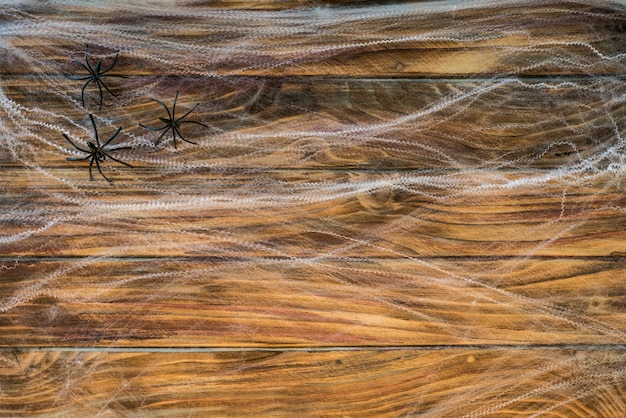 Kostenloses Foto drei spinnen in der ecke des spinnwebens