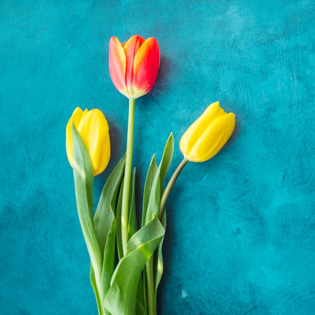 Drei Tulpenblumen auf blauer Tabelle