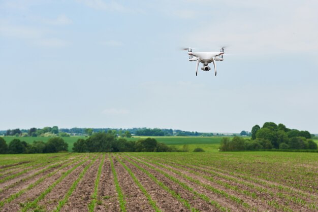 Drohnen-Quad-Copter mit hochauflösender Digitalkamera auf grünem Maisfeld,