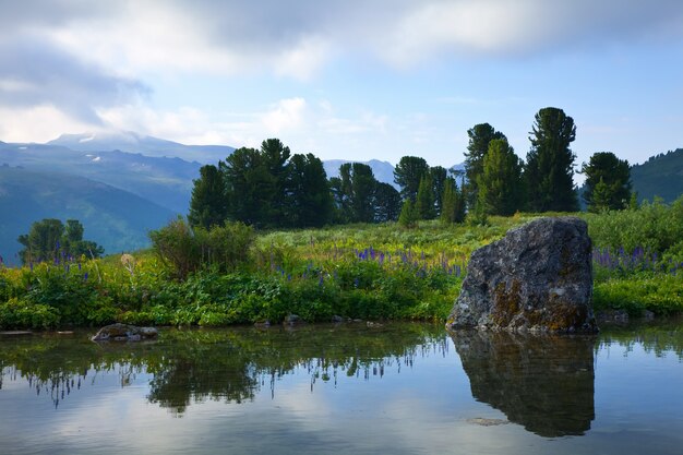 Düstere Landschaft