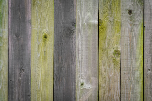 Dunkler Baum gebeizt niemand Hintergrund