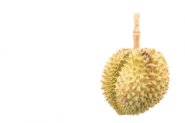 Durian-Frucht auf weißem Hintergrund