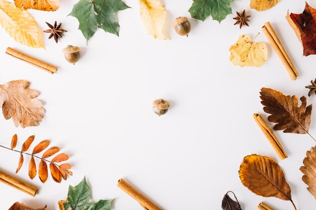 Eichel im Zentrum der herbstlichen Anordnung