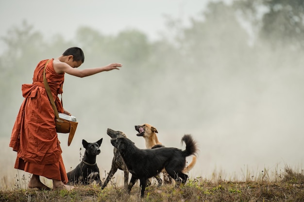 Kostenloses Foto ein anfänger geht spazieren und auf der wiese ist ein hund.