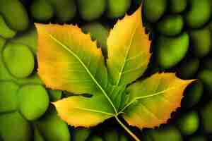 Kostenloses Foto ein blatt, auf dem das wort apfel steht