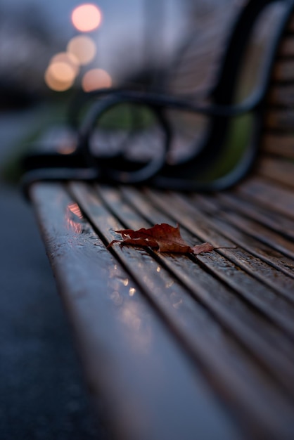 Ein Blatt auf einer Bank an einem kalten, nassen Herbsttag