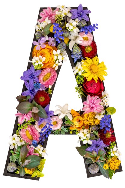 ein Brief aus echten natürlichen Blumen und Blättern auf weißem Hintergrund isoliert