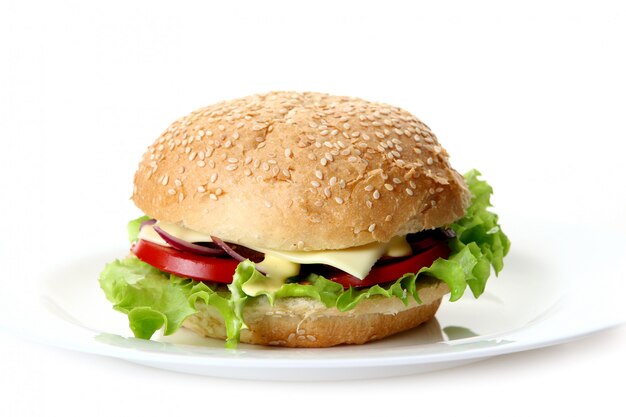 Ein frischer Hamburger mit Salat und Zwiebeln