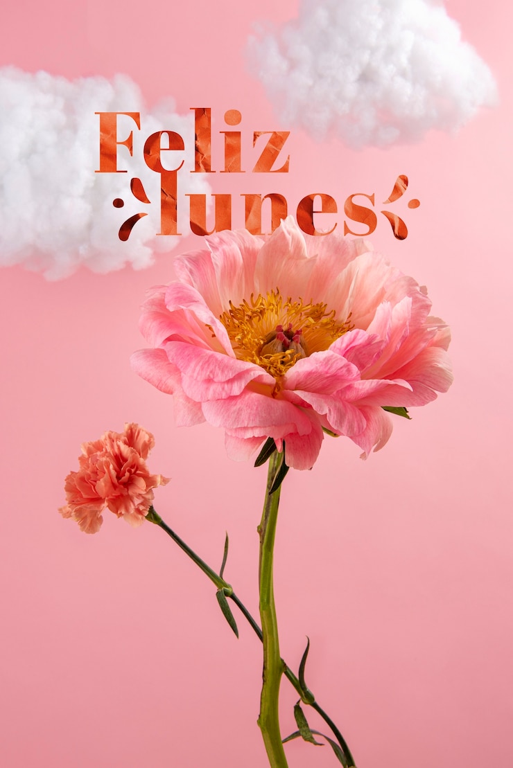 Kostenlose Foto ein glücklicher montag mit schönen blumen