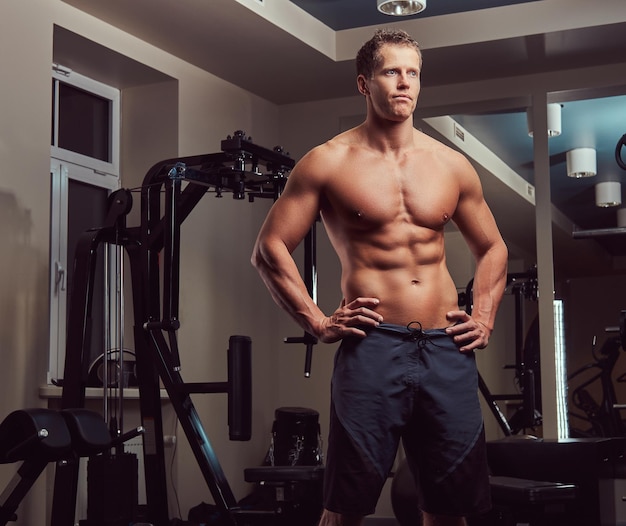 Kostenloses Foto ein hübscher, muskulöser, hemdloser bodybuilder, der im fitnessstudio posiert.