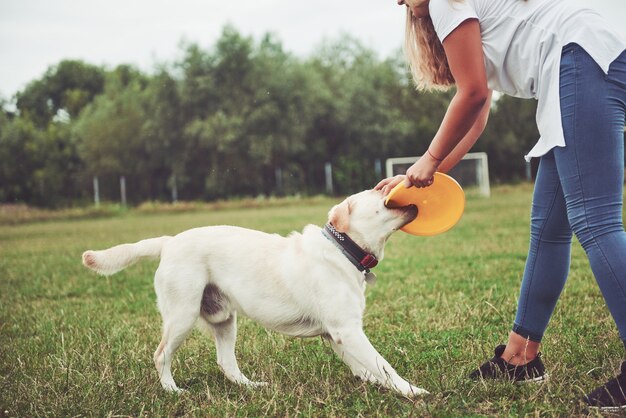 Ein junges lächelndes Mädchen mit einem glücklichen glücklichen Ausdruck spielt mit ihrem geliebten Hund.