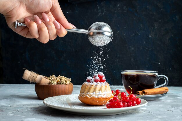 Ein kleiner Kuchen der Vorderansicht mit roten Preiselbeeren innerhalb der weißen Platte, die Zuckerpulver auf dem hellen Schreibtischkuchen erhält