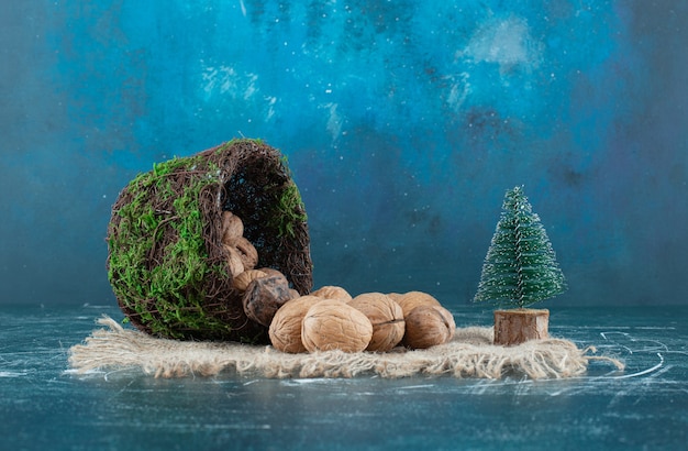 Ein Korb mit gesunden Walnüssen und kleinem Weihnachtsbaum auf einem Sackleinen. Foto in hoher Qualität