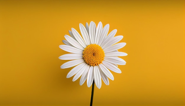 Ein lebendiges gelbes Gänseblümchen blüht in der generativen KI der Natur
